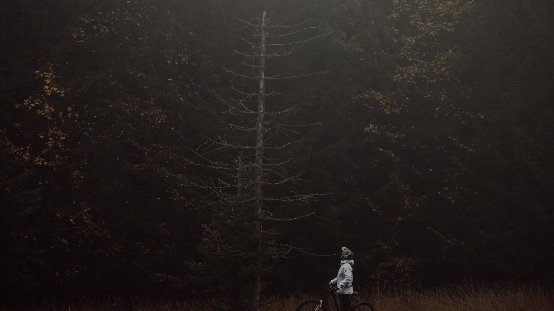 Blog Hannes Klausner_OFFLINE